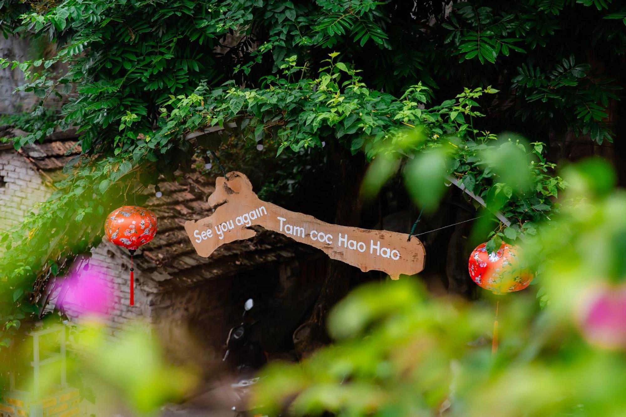 Tam Coc Hao Hao Homestay Vu Lam Exterior photo